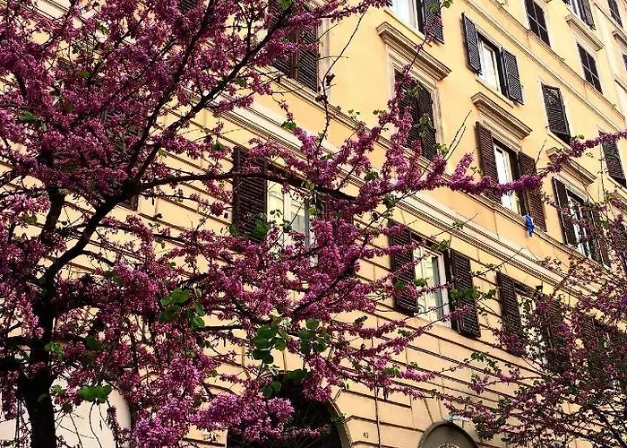Appartamento In Roma